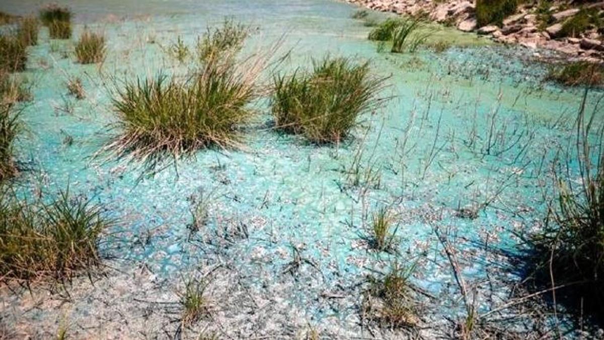 İSKİ'den Sazlıdere Barajı'ndaki görüntüyle ilgili açıklama: Doğal süreç