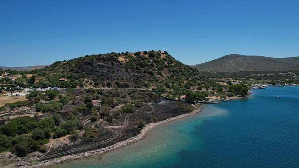 Çeşme'de 2 hektar otluk alan küle döndü! Yanan alan dronla görüntülendi