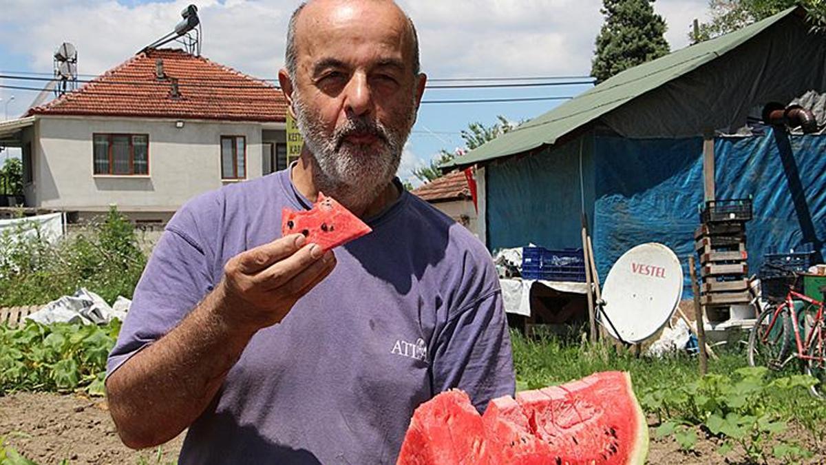 Yeni kazanç kapısı! Kilosu 5 lira, hedef 5 bin ton