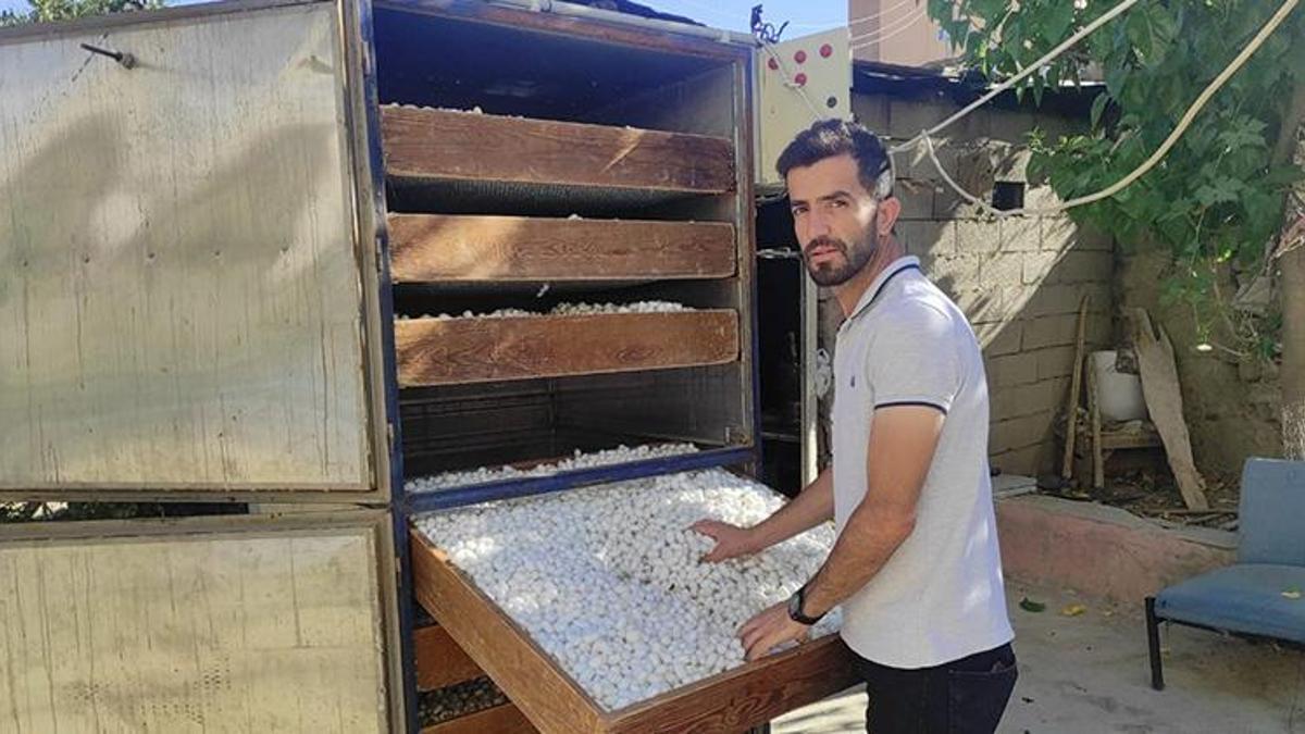 Bir ayda 1 milyon TL gelir elde ettiler! Devlet desteği de var, kilosu 180 TL, kısa sürede iyi kazanç sağlıyor...