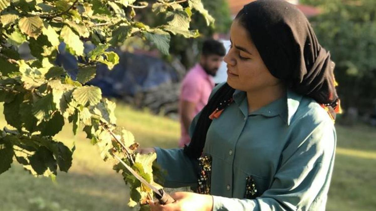 Günlük yevmiye ücretleri belli oldu