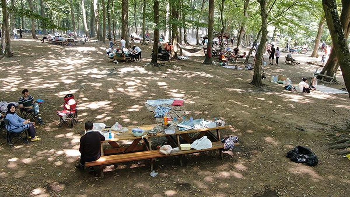 Orman yangınlarına ilişkin flaş genelge! 31 Temmuz'a kadar yasaklandı, uyarı geldi