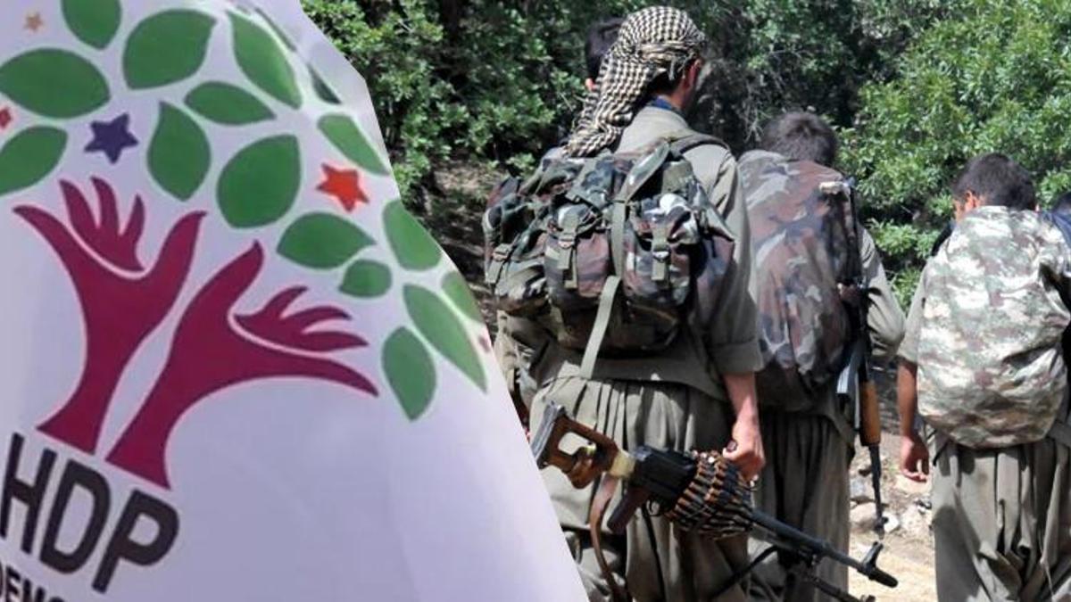 HDP'li vekillerin seçimini Kandil'de yapmışlar! PKK'lı terörist itiraf etti