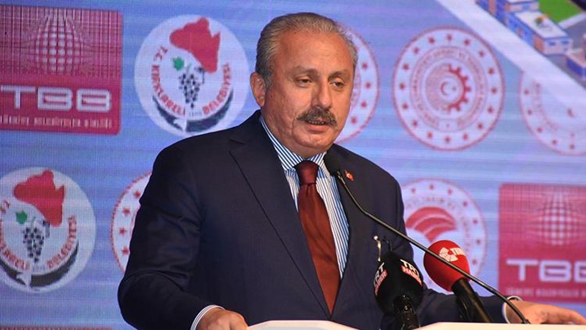 Şentop: Avrupa göçmenlere kapılarını kapattı, öldürmek dahil her türlü eylemi yaptı