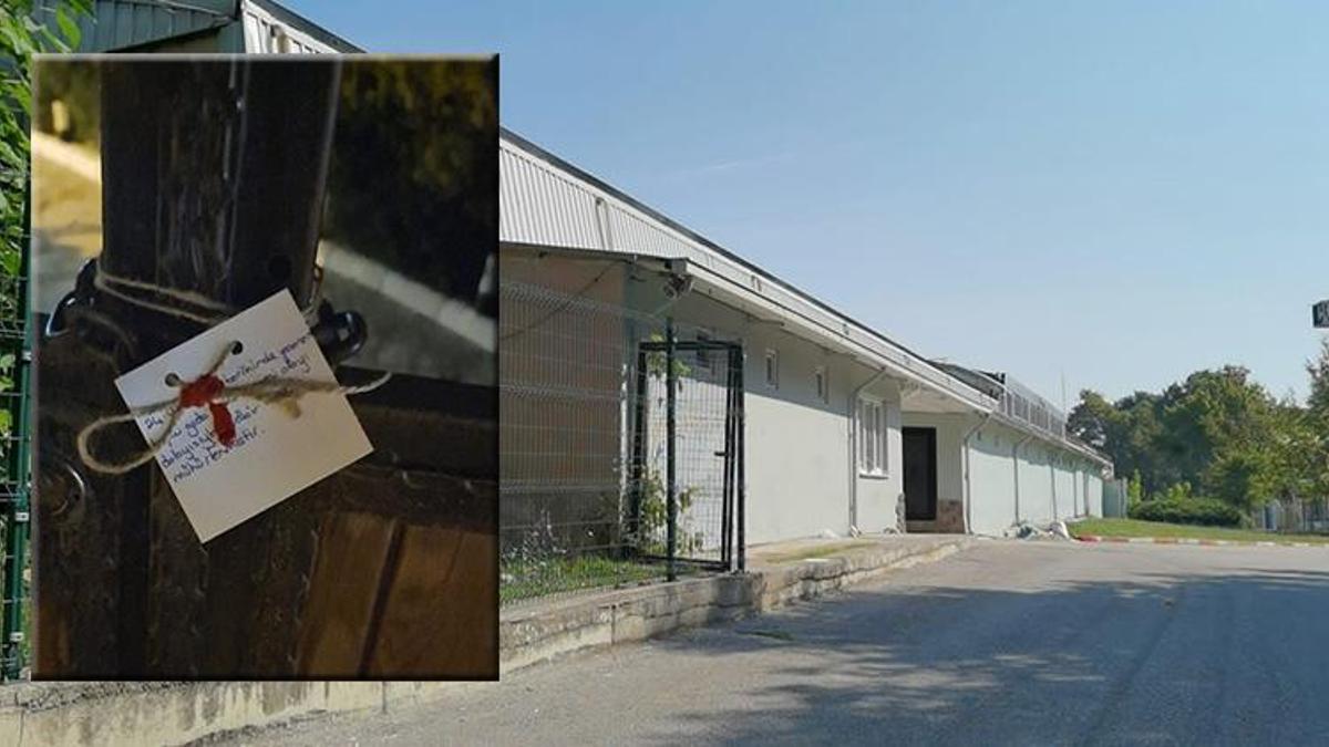 Tavuklu pilavdan 200 kişi zehirlendi! Düğün salonunun kapısına mühür vuruldu