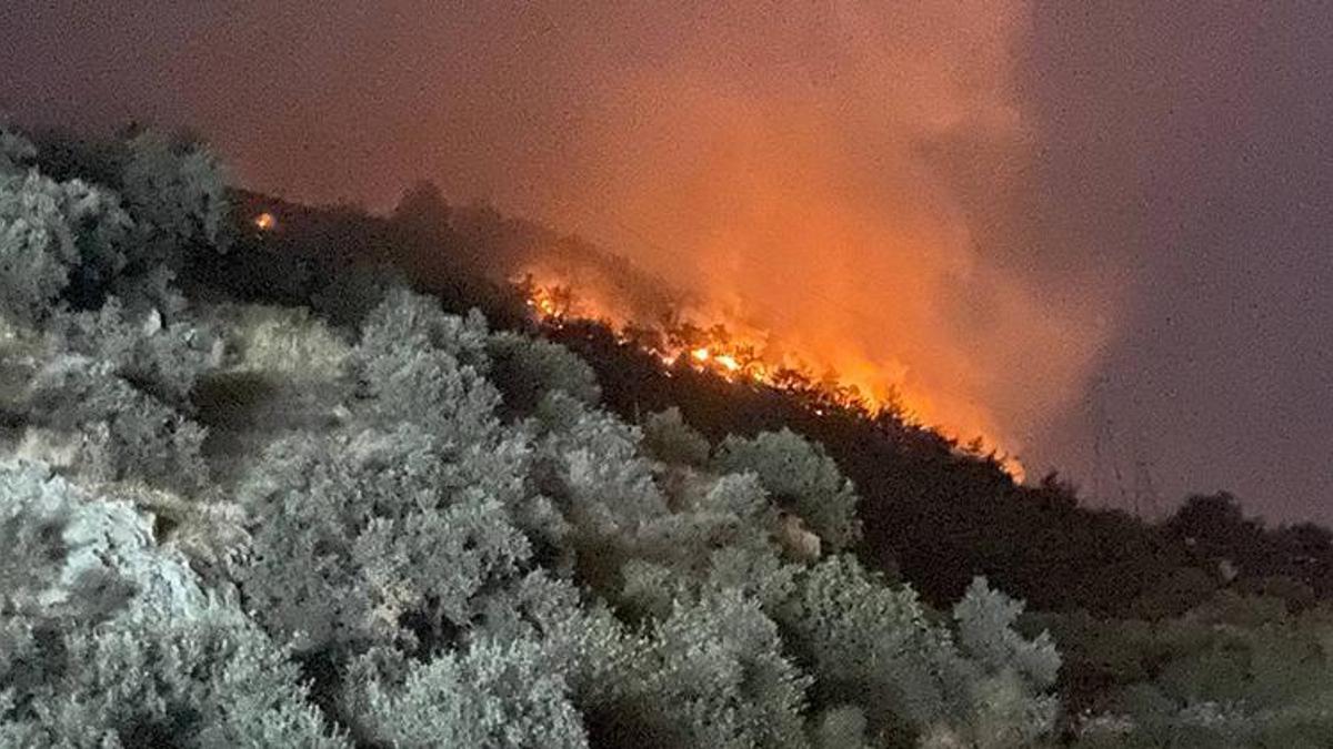 Söke'deki orman yangınında alevler geceyi aydınlattı