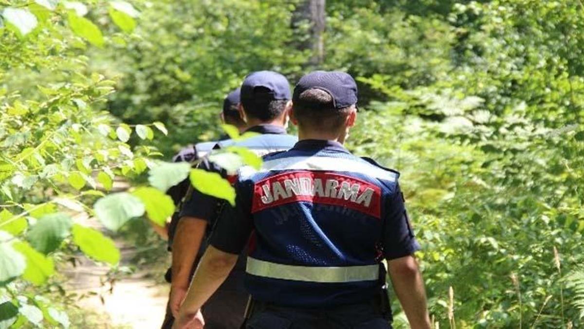 Kocaeli'de ormanlara girmek yasak mı? Kocaeli orman yasağı ne zaman kalkacak?