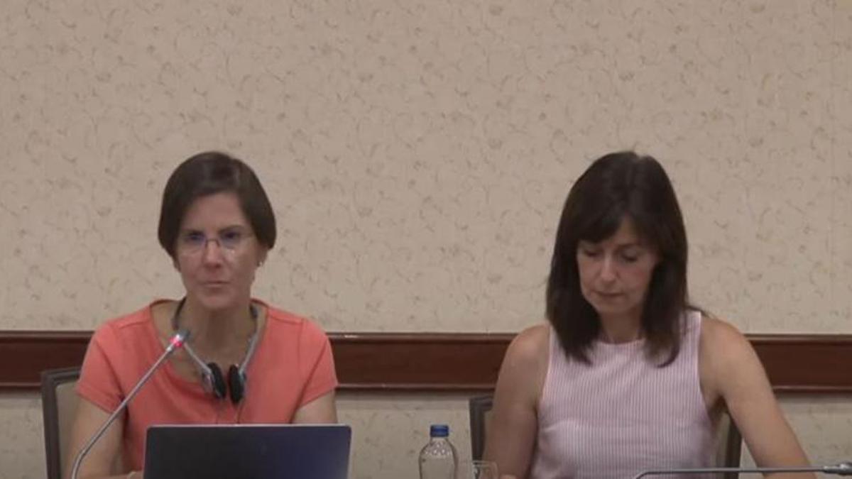 BM Özel Raportörü: Türkiye'yi İstanbul Sözleşmesi'ni tanımaya teşvik ediyorum