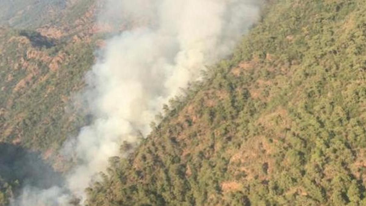 Marmaris’te orman yangını