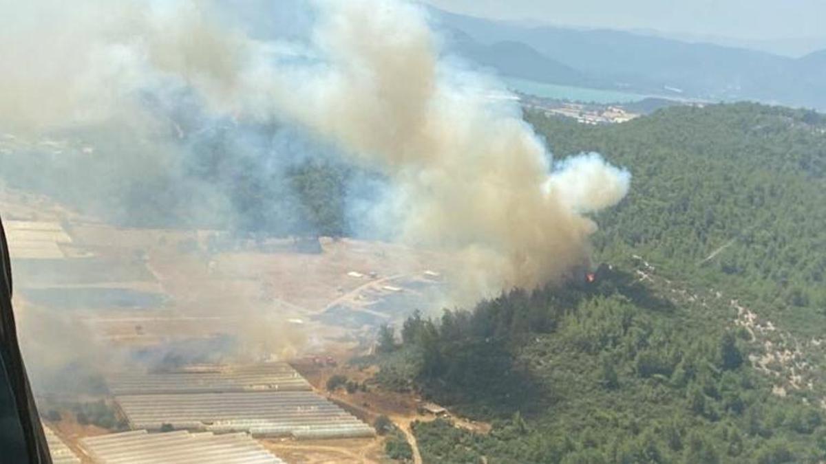 İzmir, Hatay ve Mersin'de orman yangını! Müdahale ediliyor