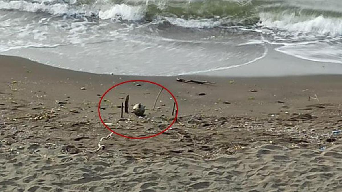 Ordu'da deniz mayını paniği! Çok sayıda ekip sevk edildi, sahile girişler yasaklandı
