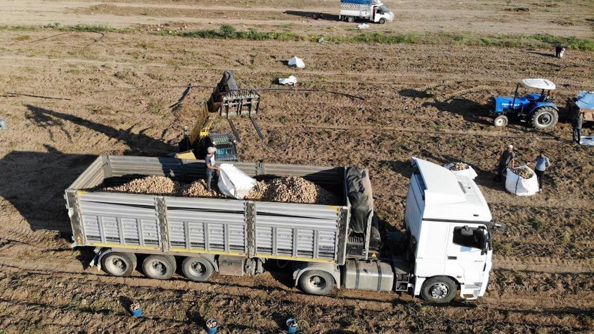 Çiftçinin yüzünü güldüren gelişme! Satış fiyatı 7,5 TL'ye yükseldi
