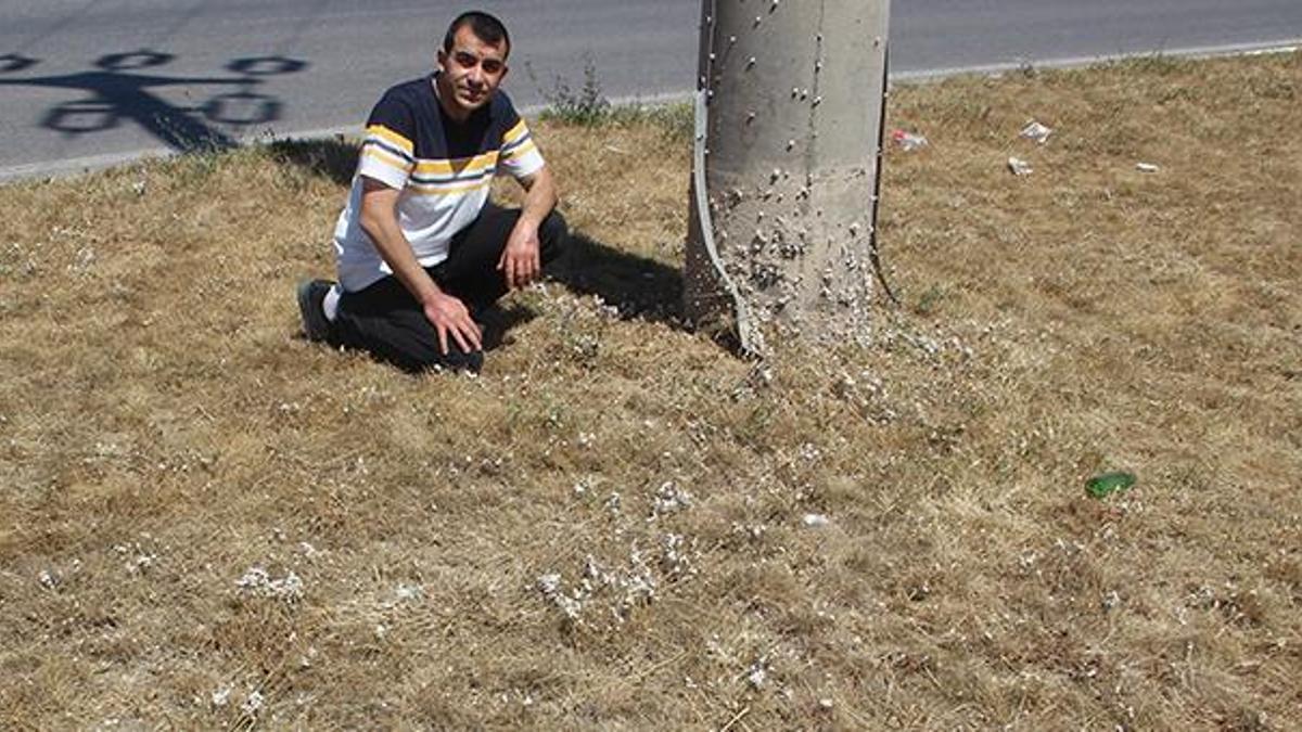 Tedirgin eden görüntü! Şehrin her yerini kapladı, 'Böylesini ilk kez gördüm'