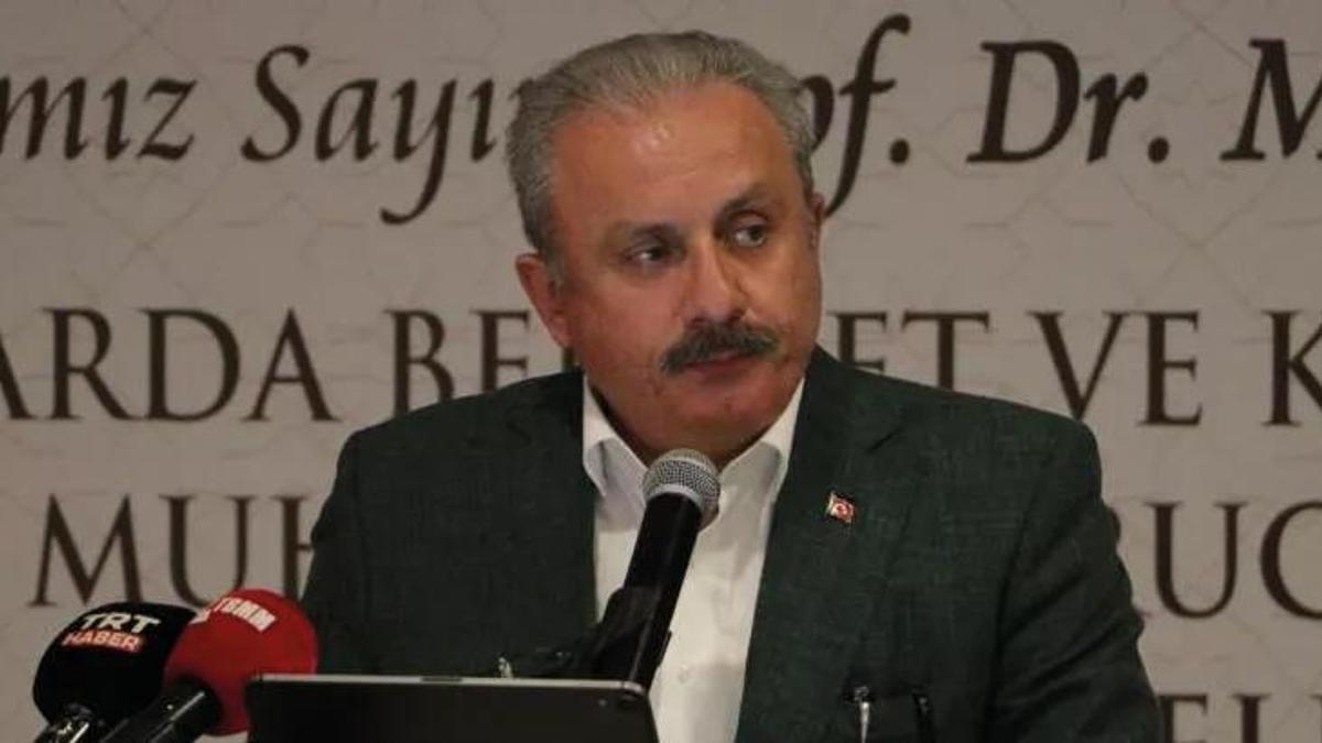 TBMM Başkanı Şentop: Kimse bizi bölemedi ve bölemeyecek