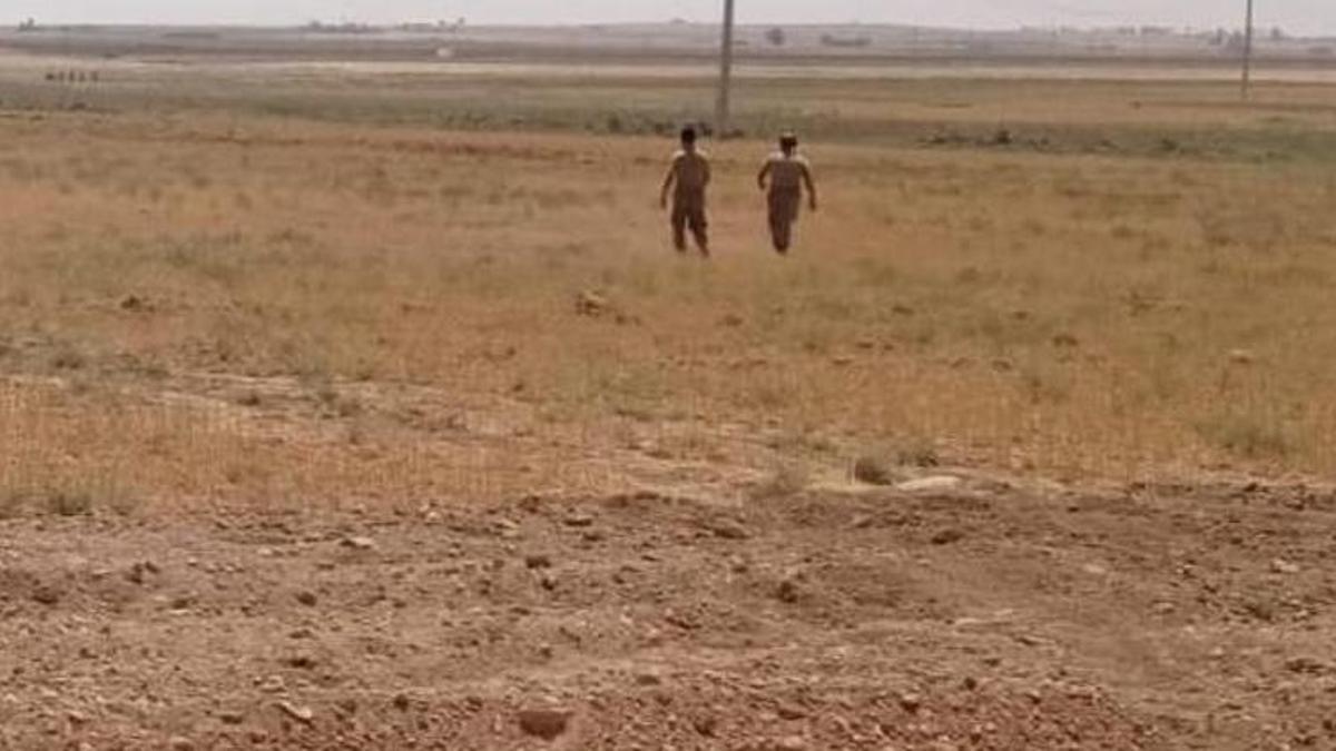 Şanlıurfa’da boş arazide parçalanmış erkek cesedi bulundu