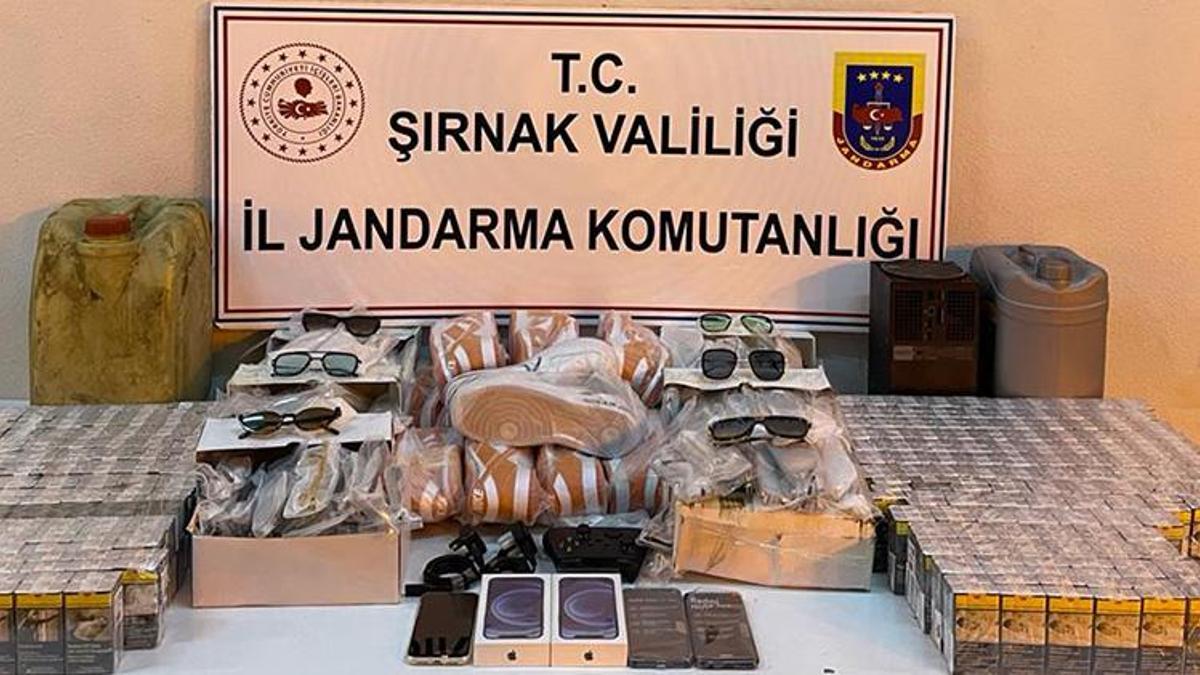Şırnak ve sınır kapısında kaçakçılık operasyonlarına 3 tutuklama