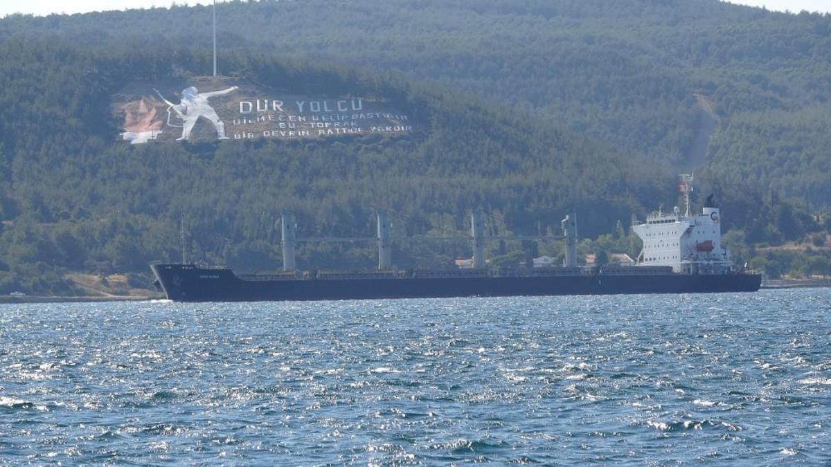 Ukrayna’dan yola çıkan mısır yüklü ‘Navi-Star’ tahıl gemisi Çanakkale Boğazı’ndan geçti