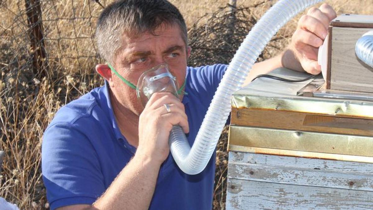 Arıcı yetiştiricilerinden mucize buluş! Astım, bronşit ve KOAH'a çözüm olacak...