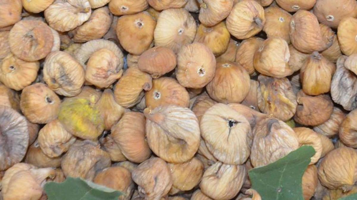 Sezonun ilk kuru inciri, kilosu 400 liradan alındı