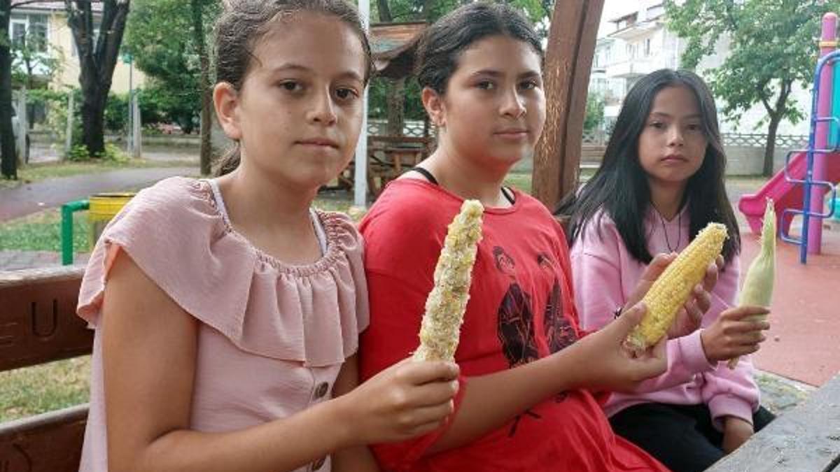 Villasının bahçesinden 3 tane mısır alan 3 kız çocuğunu tekme- tokat dövdü