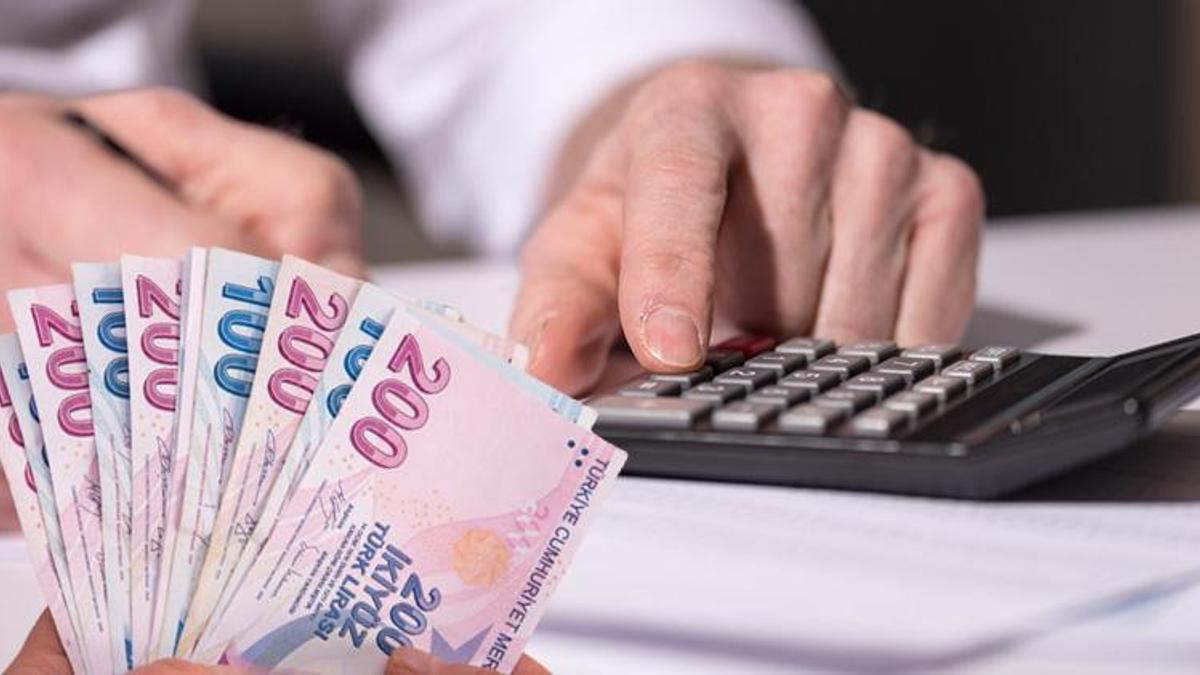 En az 5 bin 400 lira ödeniyor! Başvurular e-Devlet'ten yapılıyor, 12 ay boyunca...