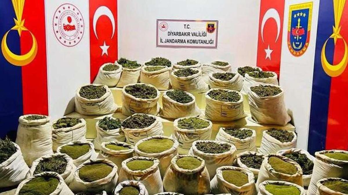 İçişleri: Diyarbakır'da 8 milyon 849 bin kök kenevir ele geçirildi