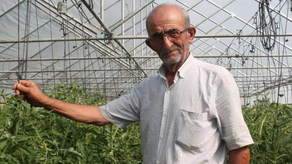 50 yıllık çiftçi ata tohumlarına gözü gibi bakıyor