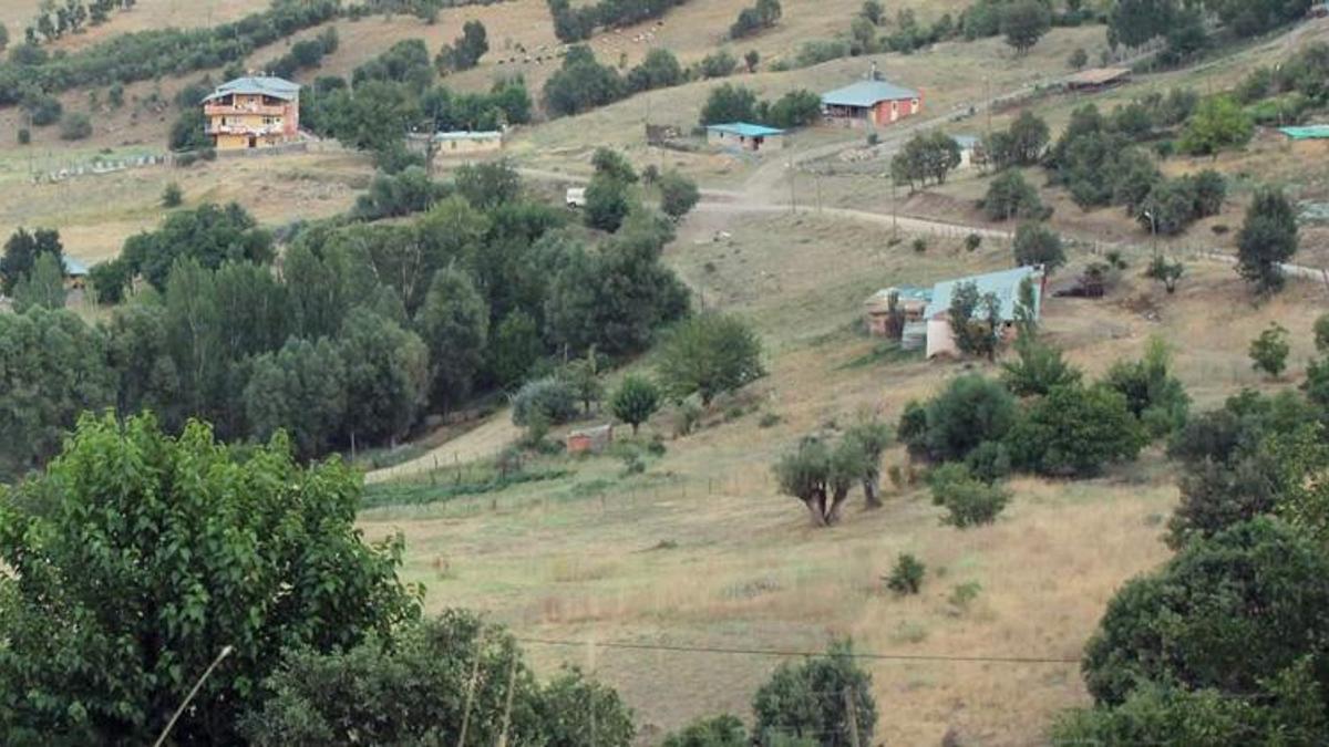 Yaban hayvanının ısırdığı inek kuduz çıkınca köy karantinaya alındı! 6 ay yasak...