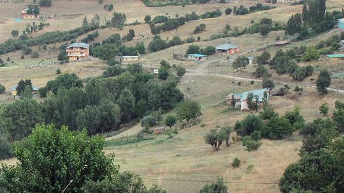 Yaban hayvanının ısırdığı inek kuduz çıktı, köy karantinaya alındı