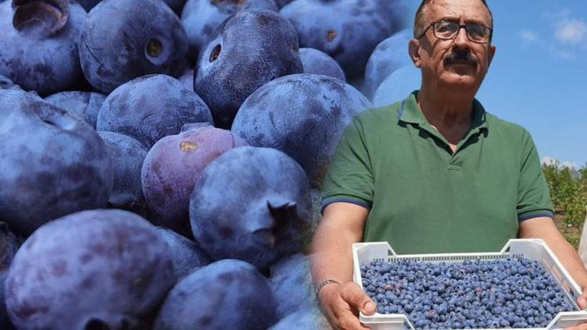 Deneme amaçlı başladılar, 10 milyon lira kazandırdı! Yabancı ülkeler sıraya girdi...