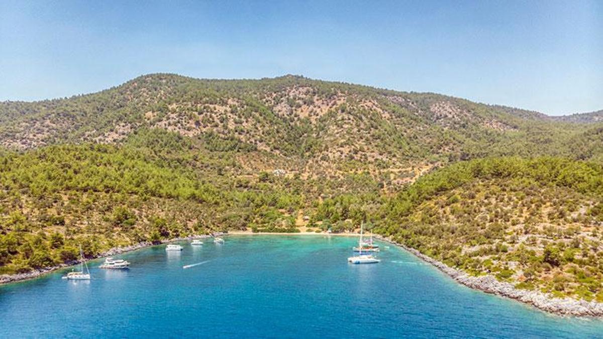 Arsaya talep resmen patladı! Fiyatlar yüzde 83 arttı