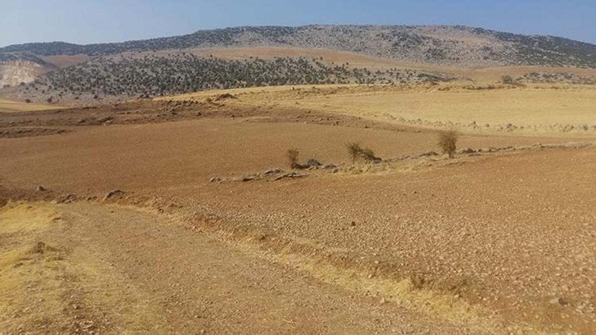Ne altın ne dolar! Talep resmen patladı, işte yatırımcının yeni gözdesi