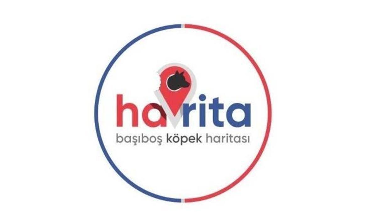 Havrita kapatıldı mı, Havrita ne demek? Havrita.com uygulaması nedir, açık mı? Karar verildi, açıklama geldi!