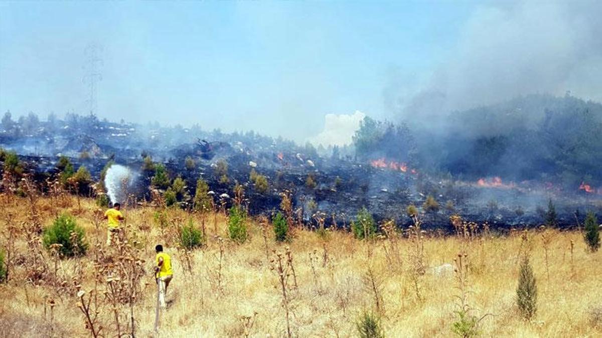 Manisa'da orman yangını; 5 dönüm alan zarar gördü