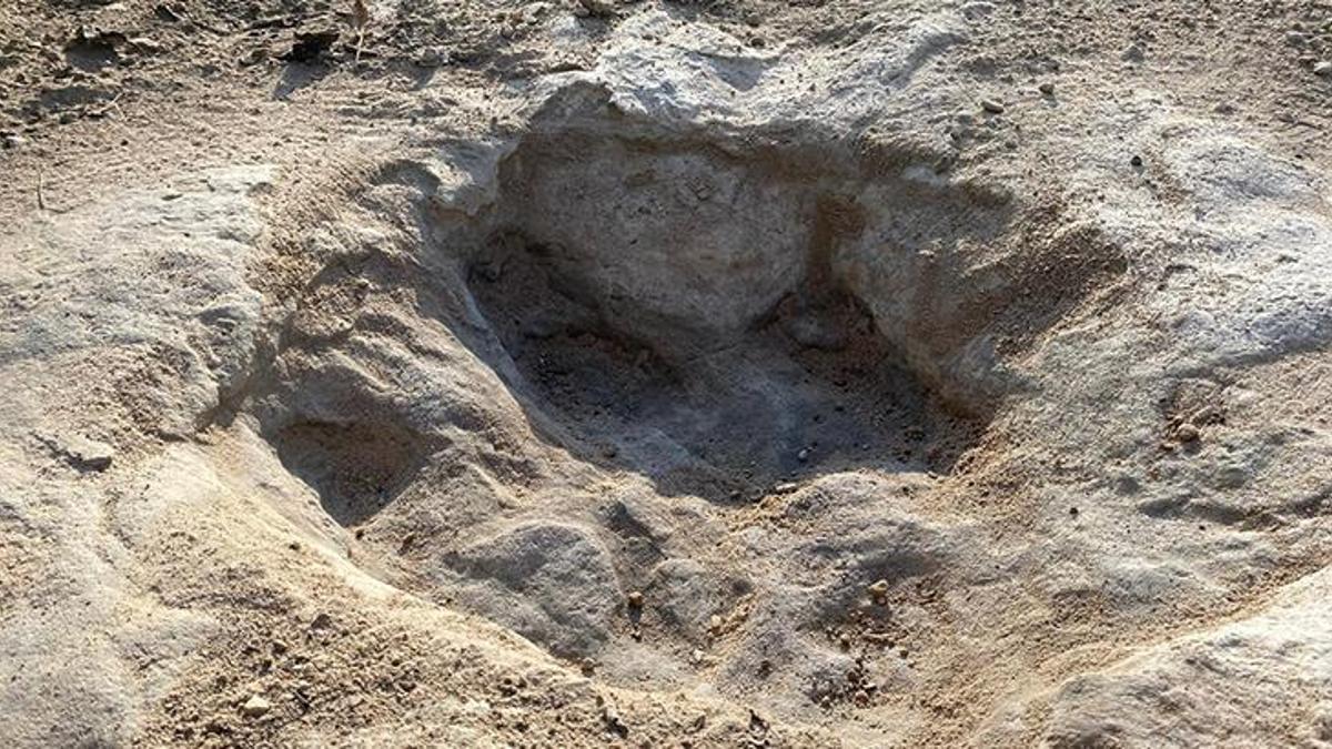 Tam 113 milyon yıllık! Nehir kuruyunca gerçek ortaya çıktı