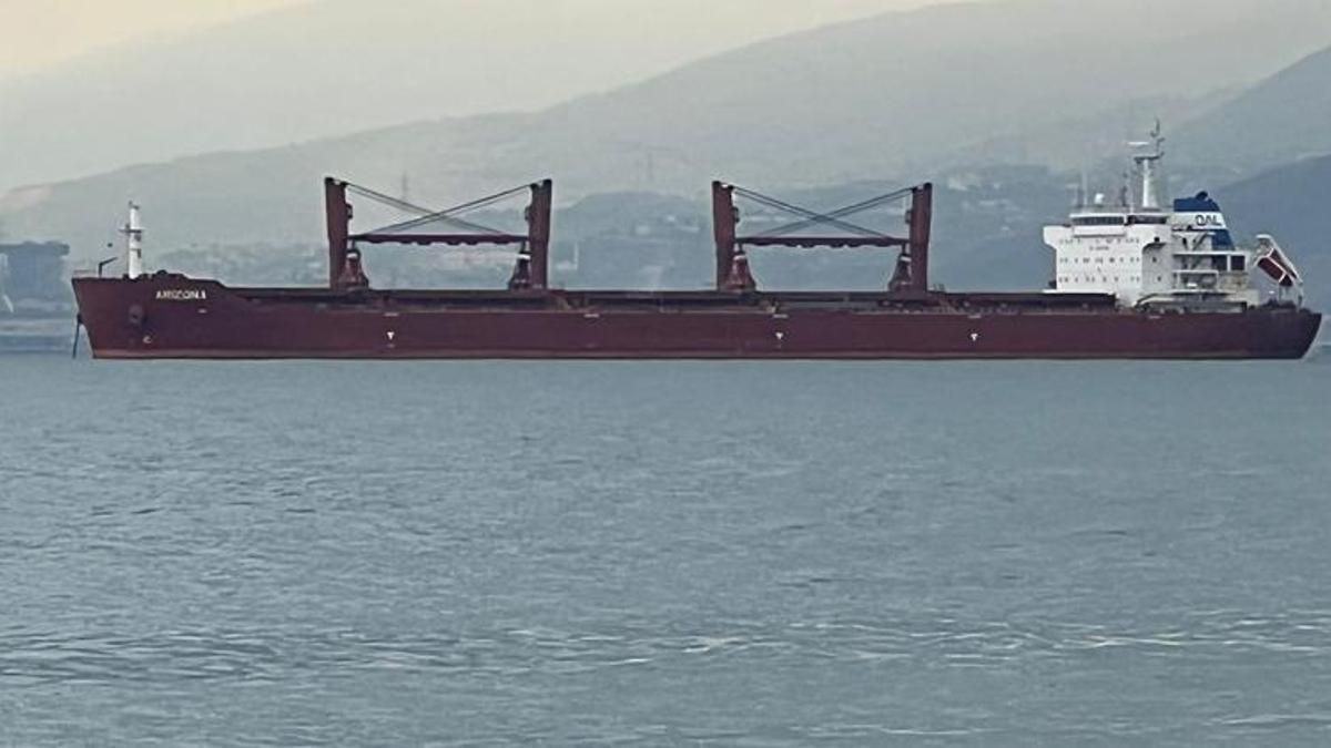 Tahıl yüklü 5 gemi Ukrayna’ya doğru hareket etti! MSB duyurdu