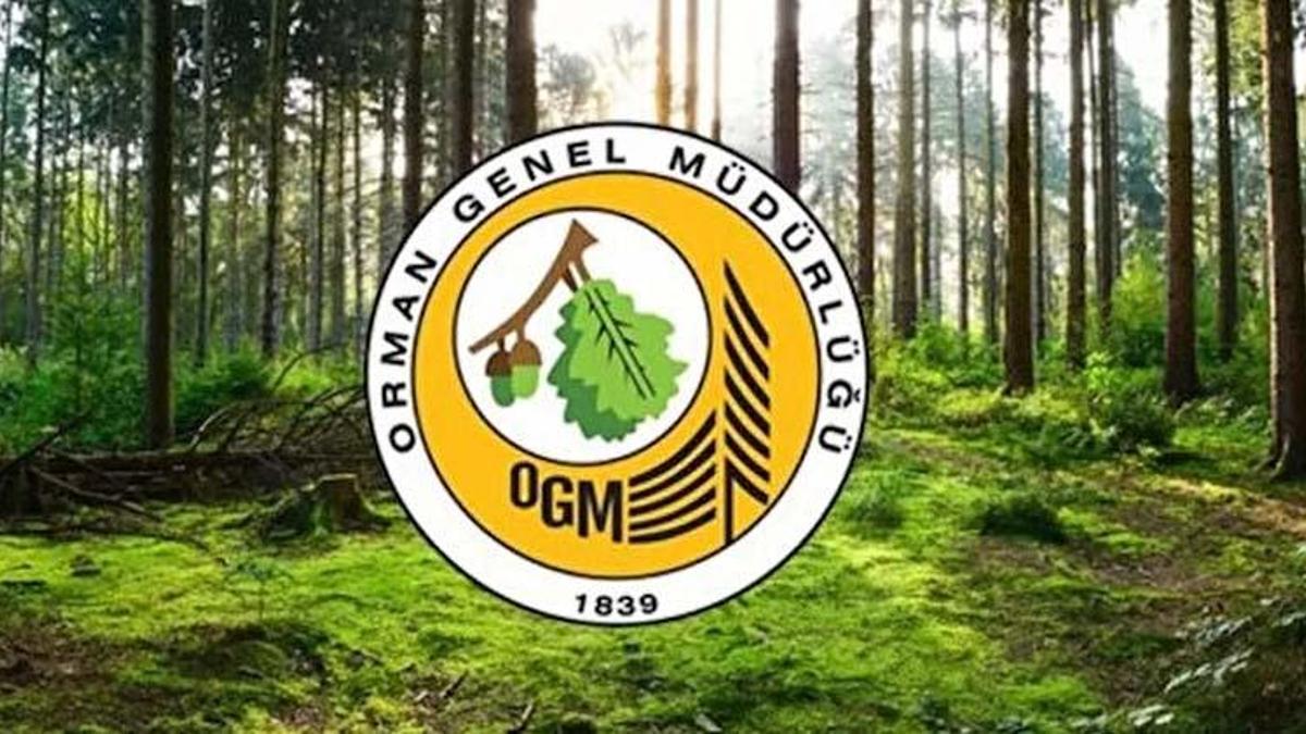 Orman Genel Müdürlüğü personel alımı! OGM personel alımı başvuru şartları nelerdir, son başvuru tarihi ne zaman? Avukat, güvenlik ve temizlik görevlisi, şoför alımı
