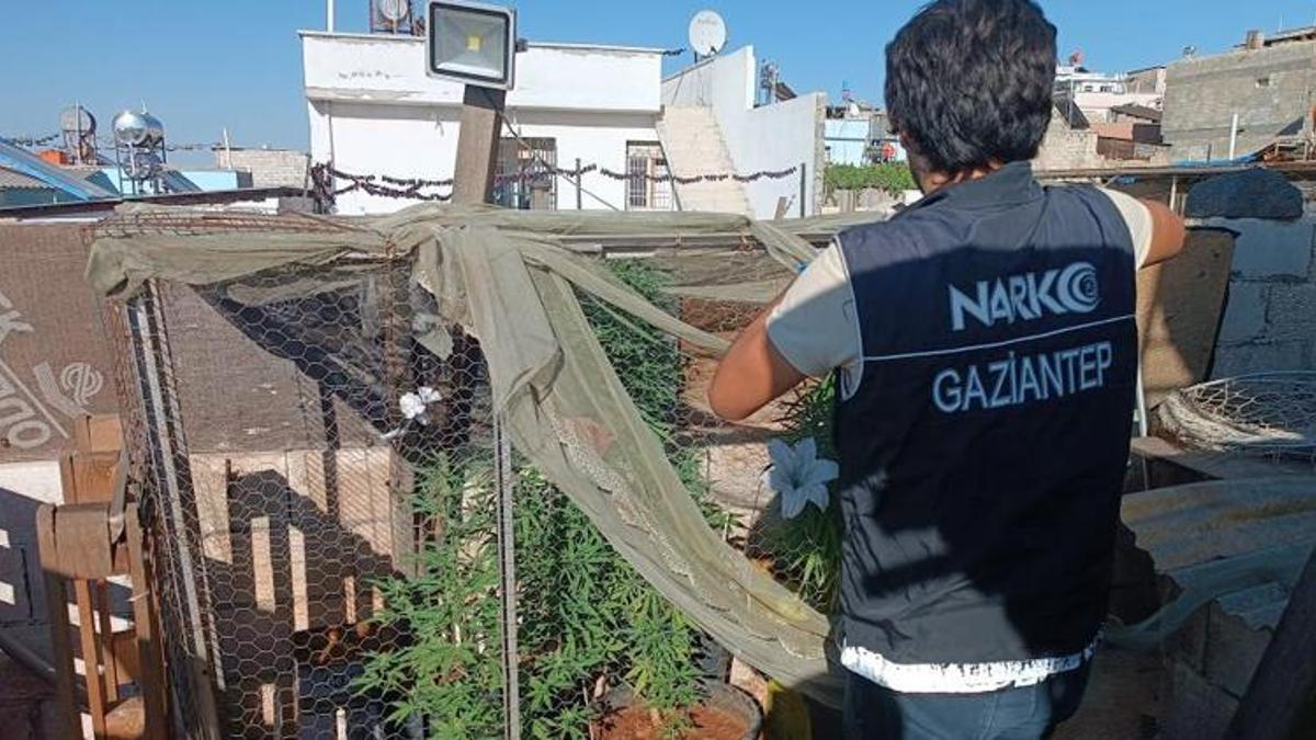 Gaziantep'te dev uyuşturucu operasyonu: 20 gözaltı
