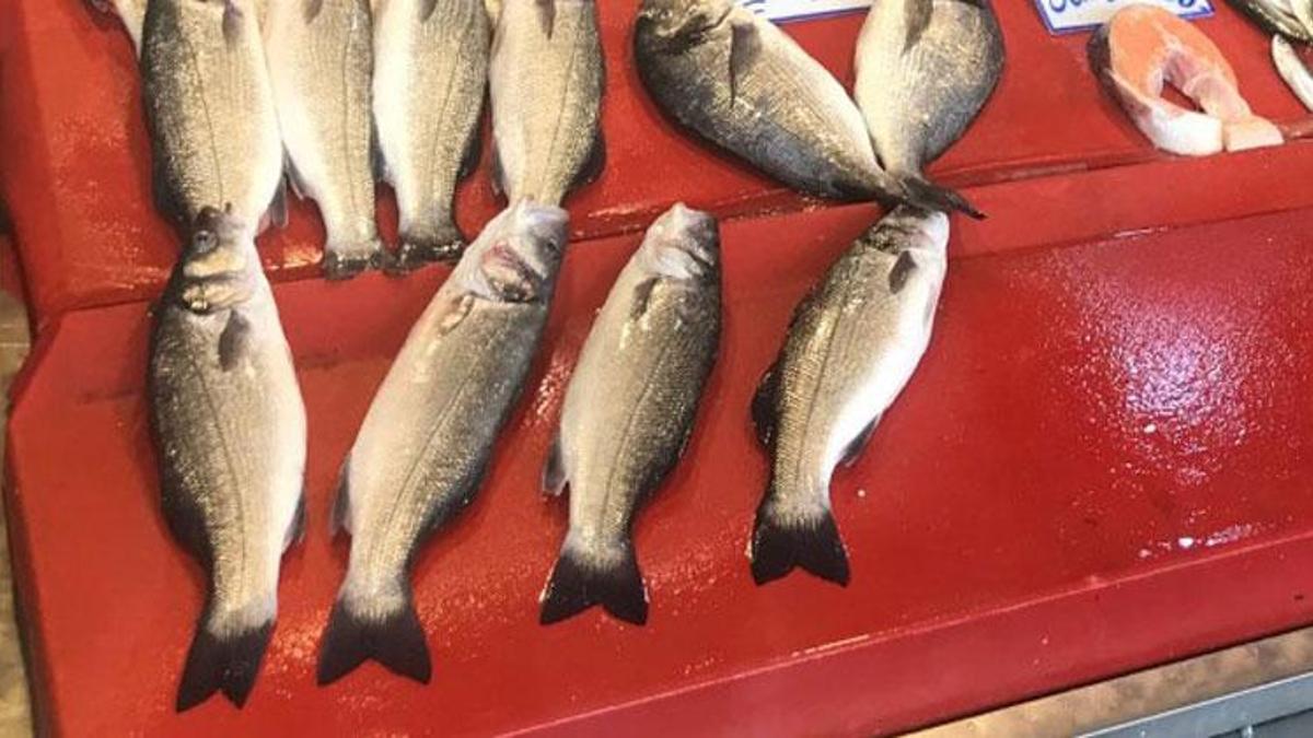 Balık fiyatları ile ilgili flaş açıklama: ‘Yüzde 30 düşme olur’