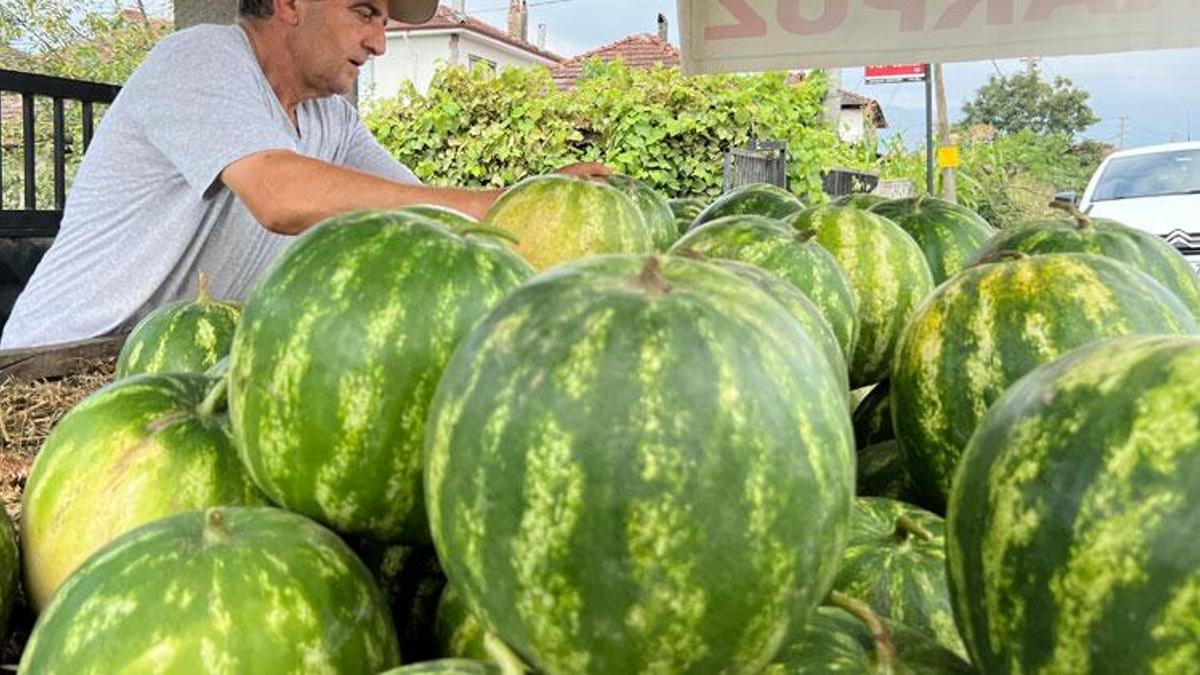 90 günde yetişiyor,  Diyarbakır ve Adana'ya rakip oldu! Kilosu 4 liradan alıcı buluyor..