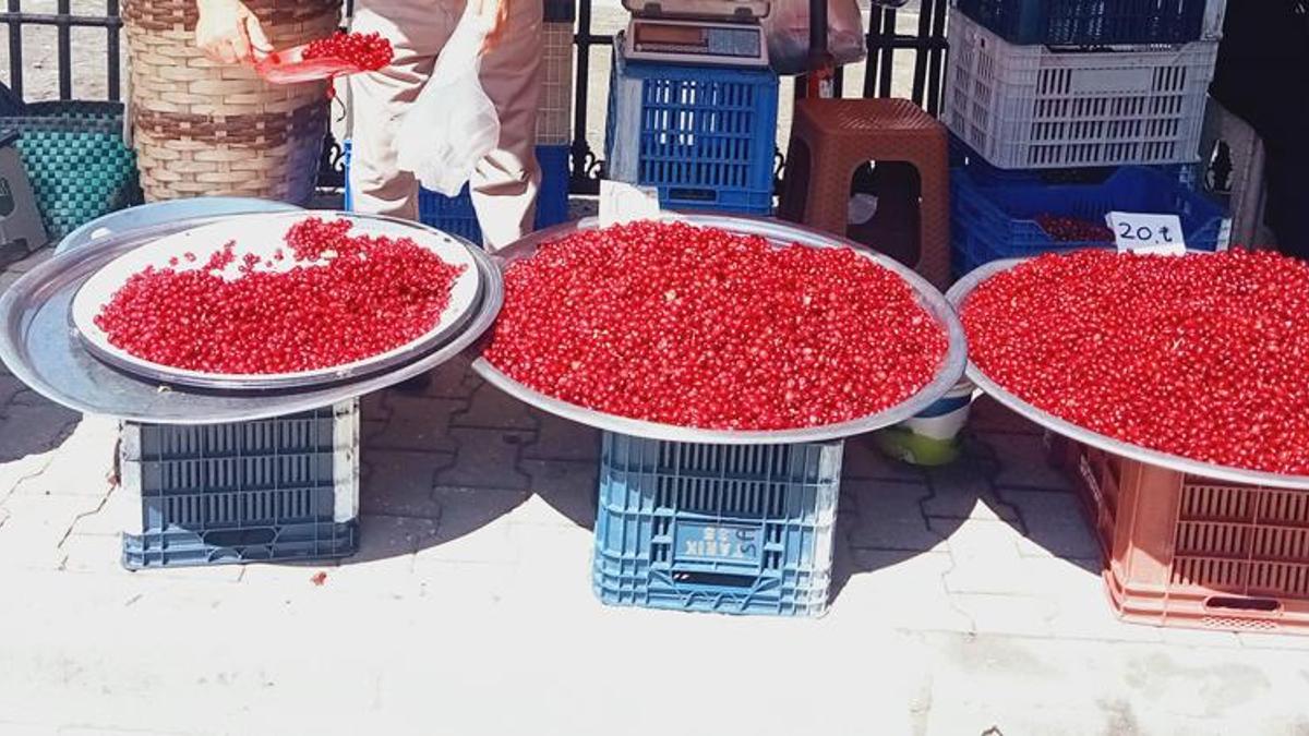 Tezgahlarda yerini aldı! 20 liradan satılıyor