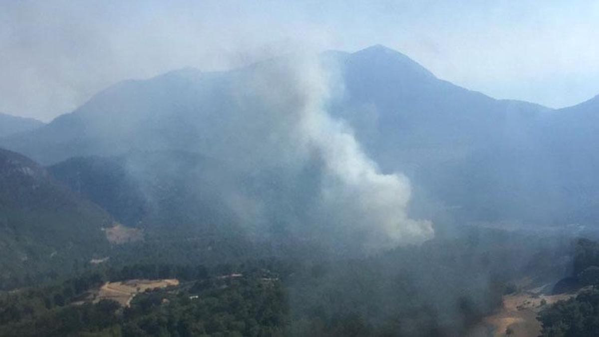 Kaş'ta orman yangını 1 saatte kontrol altına alındı