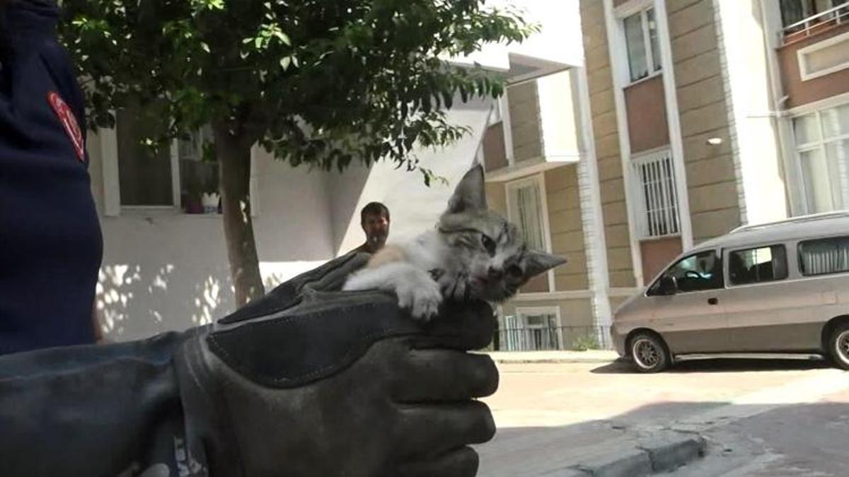 İtfaiyeden kedi kurtarma operasyonu