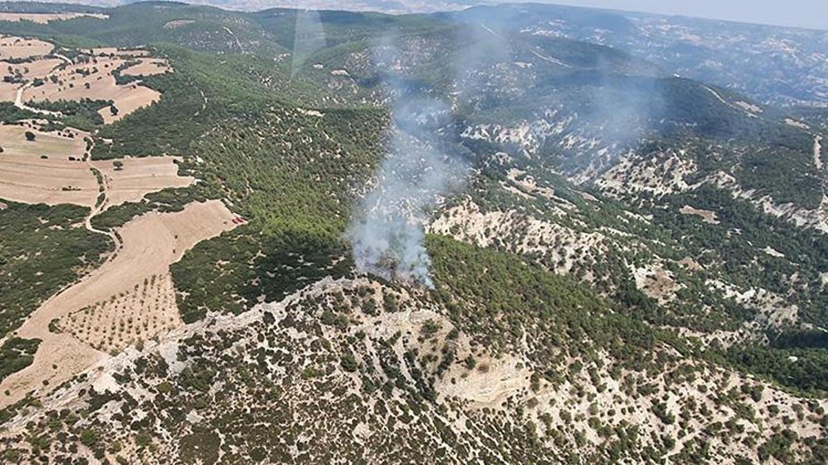Manisa'da 10 dönüm orman yandı