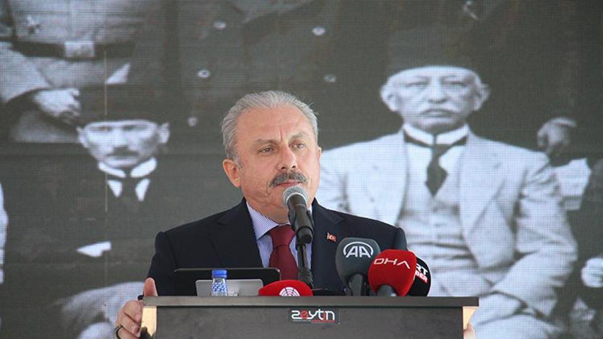 TBMM Başkanı Şentop'tan, 'Sivas Kongresi' mesajı