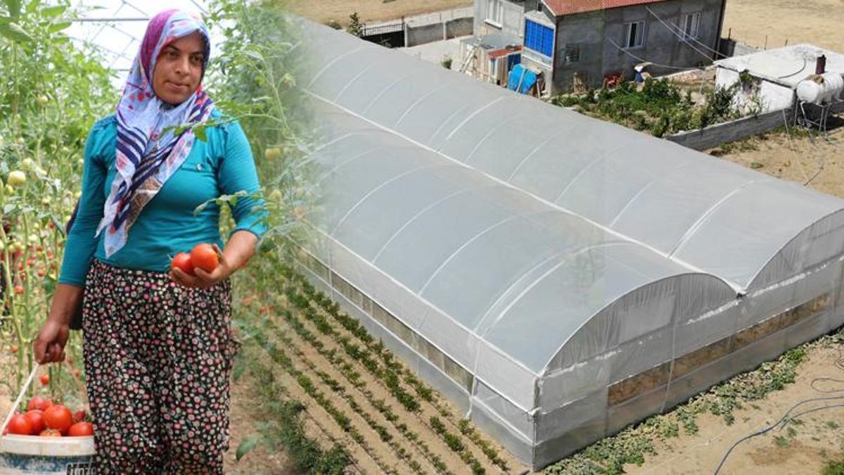 Devletten aldığı hibe ile başladı, şimdi paraya para demiyor! 'Yüksek verim aldık' deyip fiyatını açıkladı