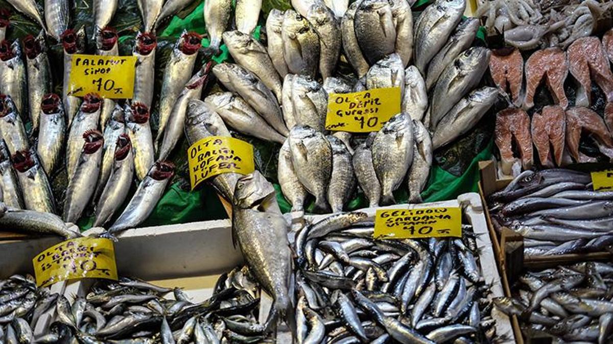 Hamsi, istavrit, kalkan, lüfer, palamut fiyatlarında son dakika! Önümüzdeki günlerde ucuzlayacak