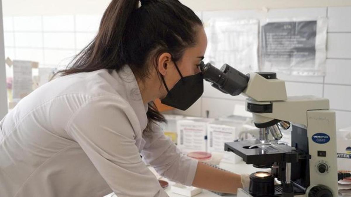 Korona virüsle ilgili çarpıcı araştırma