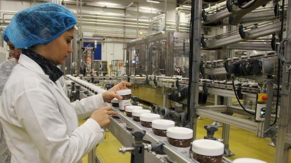 Rekabet Kurumu, fındık fiyatına müdahale eden firma için harekete geçti