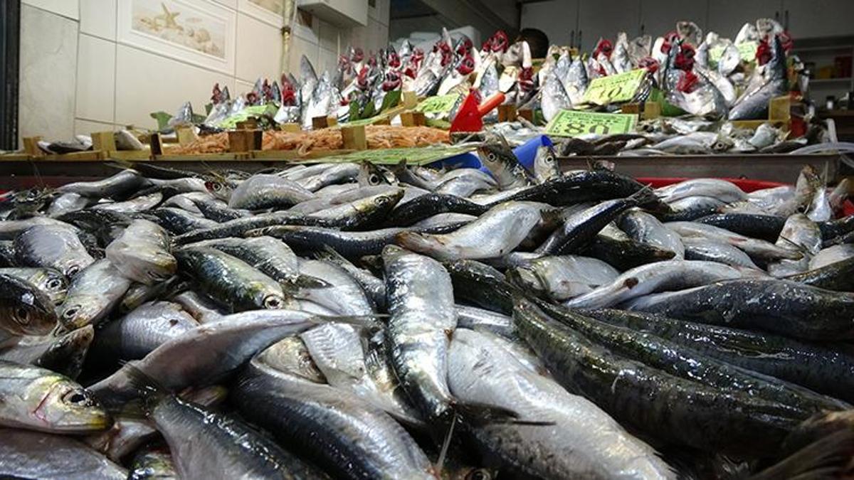 Balık fiyatları ile ilgili son dakika açıklaması! “50 liraya 3 kişi doyuyor”